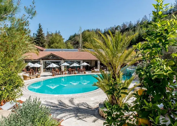 Secret Forest - Wellness Retreat & Healing (adults Only) 4* Paphos