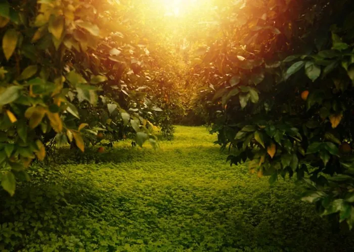 Secret Forest - Wellness Retreat & Healing (adults Only) 4*