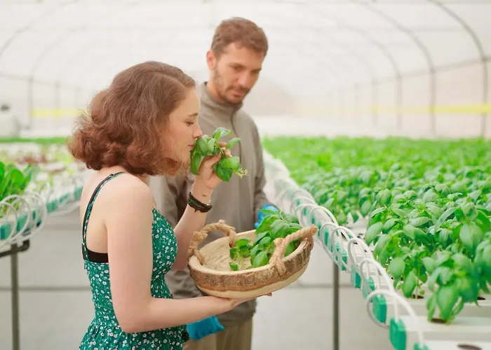 Secret Forest - Wellness Retreat & Healing (adults Only)