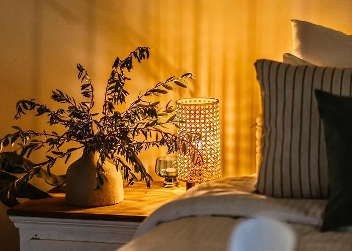 Hotel Secret Forest - Wellness Retreat & Healing (adults Only)