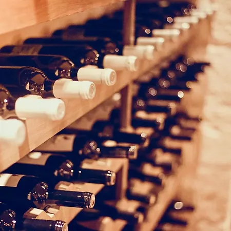 Hotel Secret Forest - Wellness Retreat & Healing (adults Only) Pafos