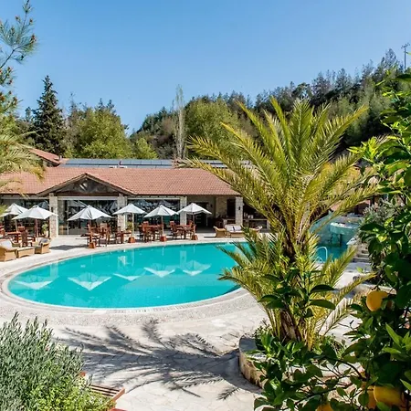 Secret Forest - Wellness Retreat & Healing (adults Only) 4* Pafos