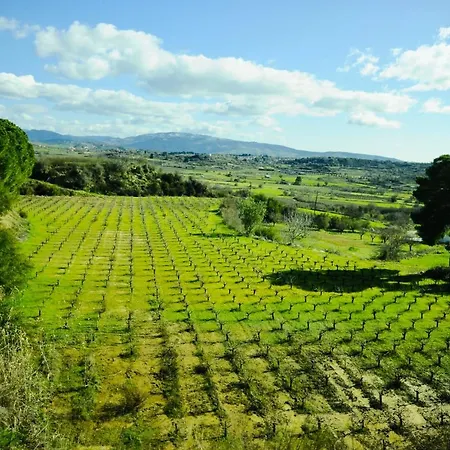 Secret Forest - Wellness Retreat & Healing (adults Only) 4* Paphos