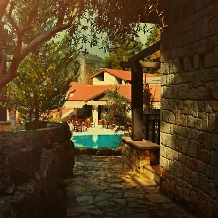 Secret Forest - Wellness Retreat & Healing (adults Only)