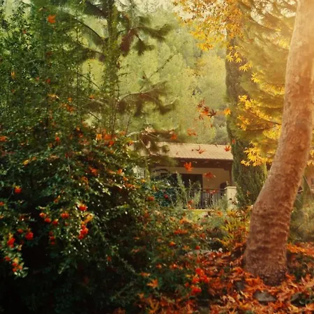 Hotel Secret Forest - Wellness Retreat & Healing (adults Only) Pafos