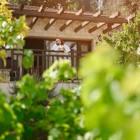 Secret Forest - Wellness Retreat & Healing (adults Only) Hotel Pafos