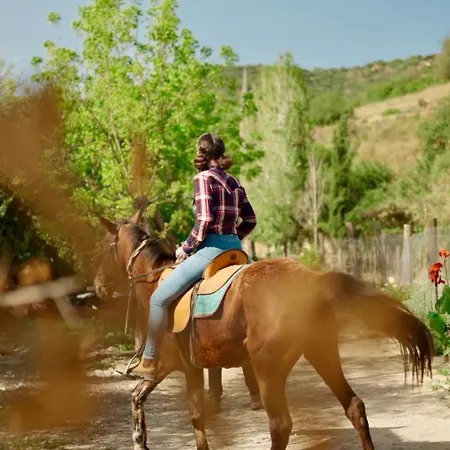 Secret Forest - Wellness Retreat & Healing (adults Only) 4*