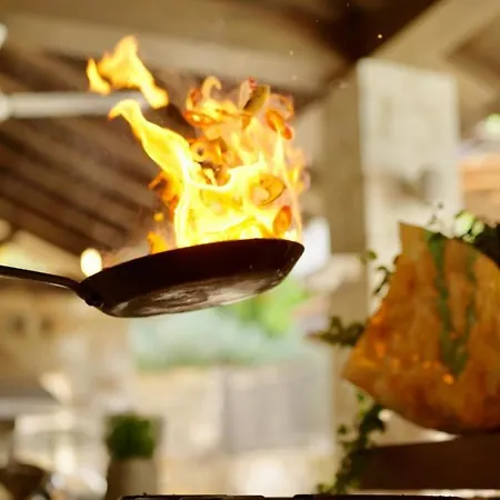 Secret Forest - Wellness Retreat & Healing (adults Only)