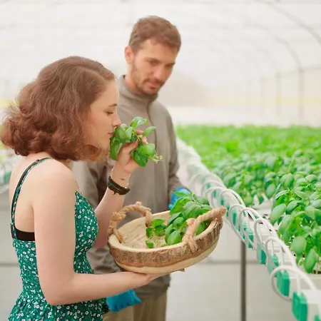 Secret Forest - Wellness Retreat & Healing (adults Only)