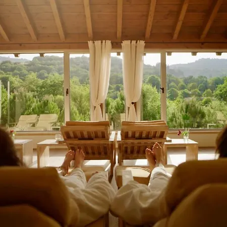 Secret Forest - Wellness Retreat & Healing (adults Only)