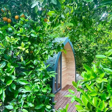 Secret Forest - Wellness Retreat & Healing (adults Only) 4*