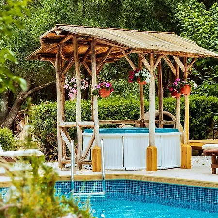 Secret Forest - Wellness Retreat & Healing (adults Only)