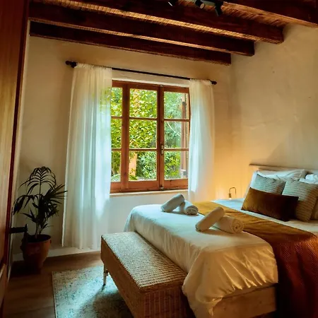 Secret Forest - Wellness Retreat & Healing (adults Only) Hotel Pafos