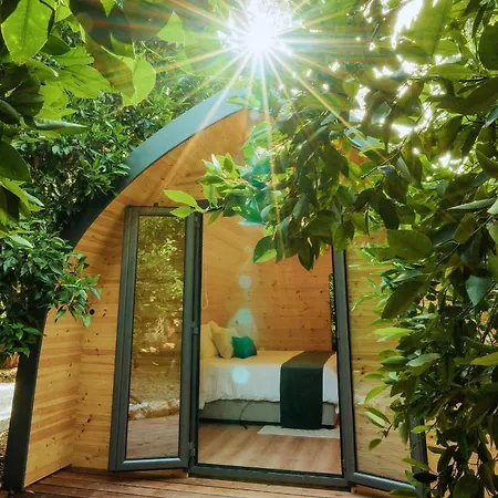 Secret Forest - Wellness Retreat & Healing (adults Only)