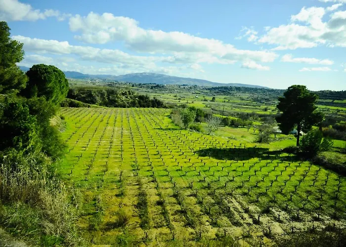 Secret Forest - Wellness Retreat & Healing (adults Only) 4* Paphos