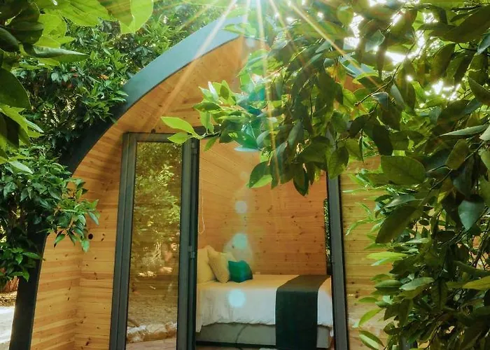 Secret Forest - Wellness Retreat & Healing (adults Only)