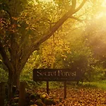 Secret Forest - Wellness Retreat & Healing (adults Only) 4* Paphos