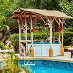 Secret Forest - Wellness Retreat & Healing (adults Only)