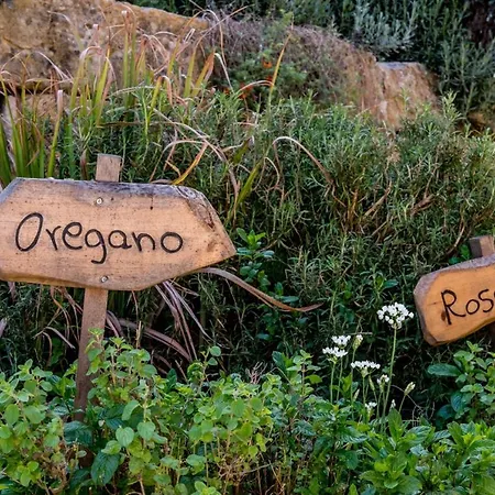מלון Secret Forest - Wellness Retreat & Healing (adults Only) 4*