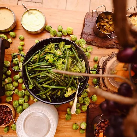 Secret Forest - Wellness Retreat & Healing (adults Only) מלון