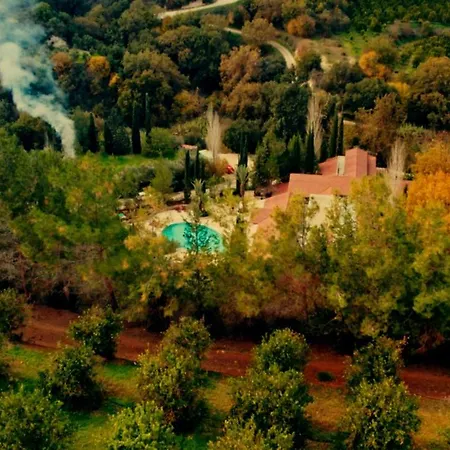 Szálloda Secret Forest - Wellness Retreat & Healing (adults Only) Paphos