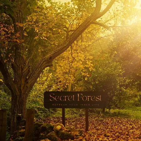 Secret Forest - Wellness Retreat & Healing (adults Only) 4* Paphos