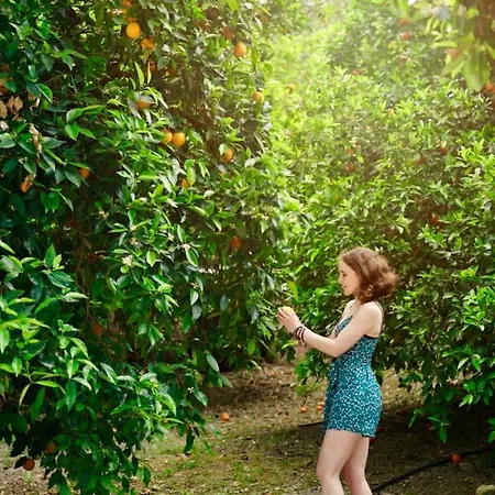 מלון Secret Forest - Wellness Retreat & Healing (adults Only) מיליו