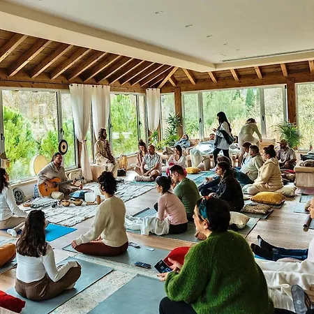 Secret Forest - Wellness Retreat & Healing (adults Only) Miliou