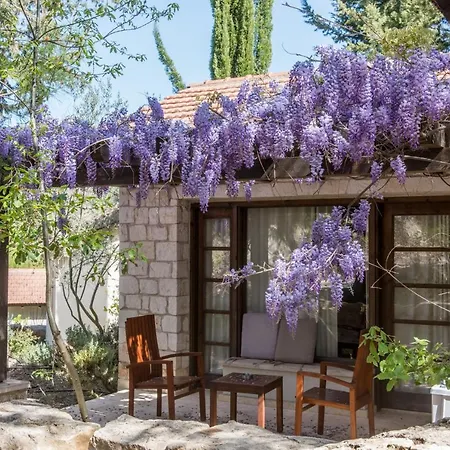 מלון Secret Forest - Wellness Retreat & Healing (adults Only) 4*