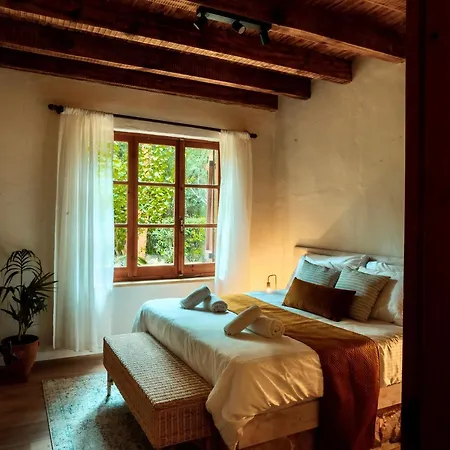 Secret Forest - Wellness Retreat & Healing (adults Only) Miliou