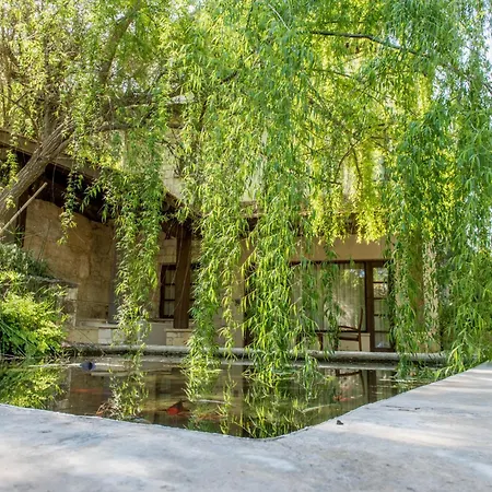 Szálloda Secret Forest - Wellness Retreat & Healing (adults Only)