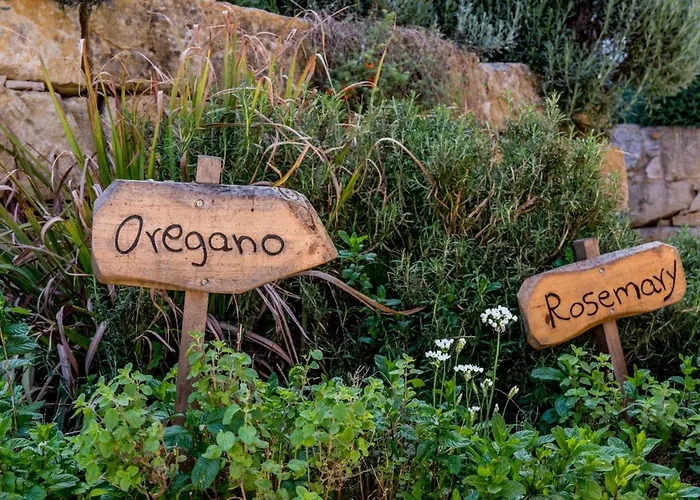 Szálloda Secret Forest - Wellness Retreat & Healing (adults Only) 4*