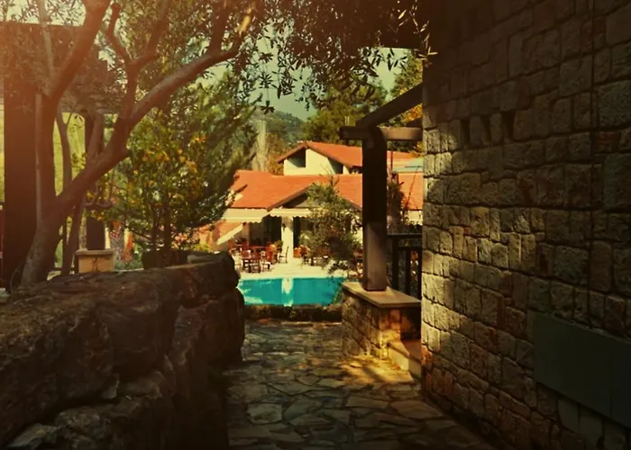 Secret Forest - Wellness Retreat & Healing (adults Only)