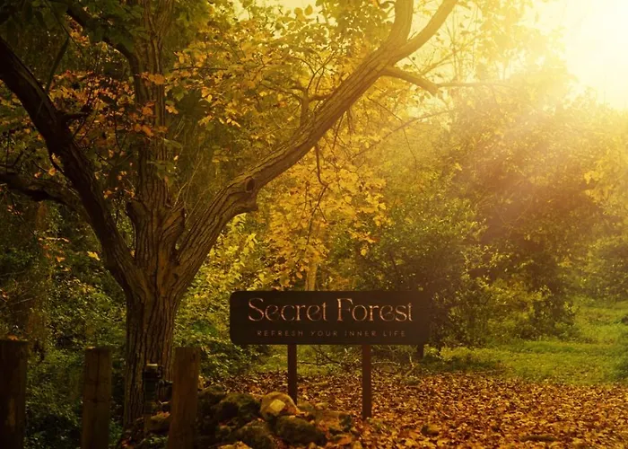 Secret Forest - Wellness Retreat & Healing (adults Only) 4* פאפוס
