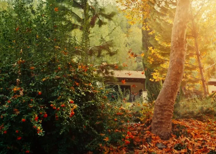 Szálloda Secret Forest - Wellness Retreat & Healing (adults Only) Paphos