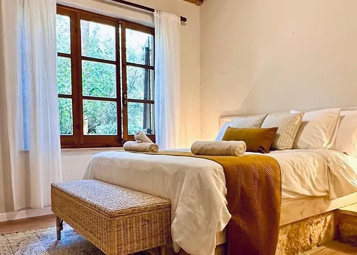 Secret Forest - Wellness Retreat & Healing (adults Only) Szálloda