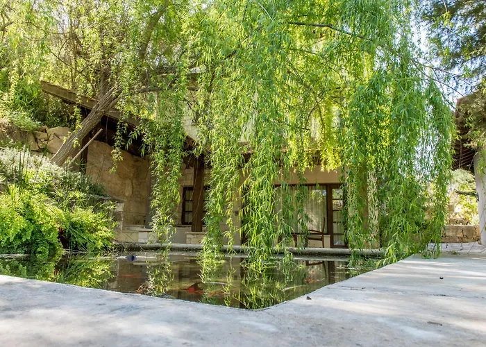 Hotel Secret Forest - Wellness Retreat & Healing (adults Only)