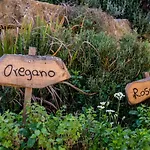 Szálloda Secret Forest - Wellness Retreat & Healing (adults Only) 4*