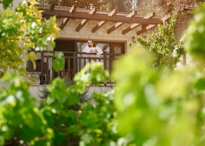 Secret Forest - Wellness Retreat & Healing (adults Only) Hotel Paphos