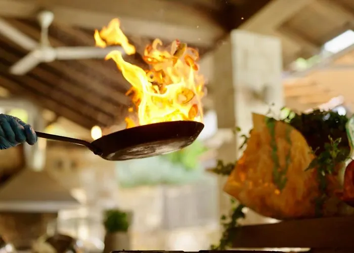 Secret Forest - Wellness Retreat & Healing (adults Only)