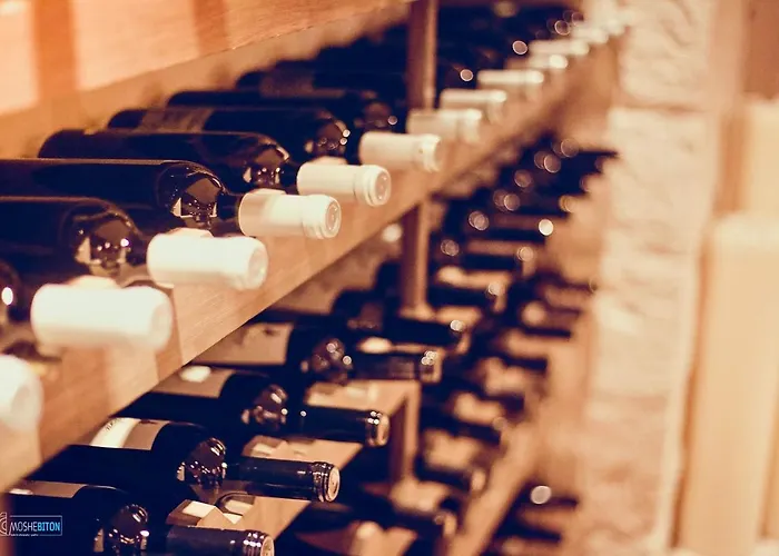 Hotell Secret Forest - Wellness Retreat & Healing (adults Only) Paphos