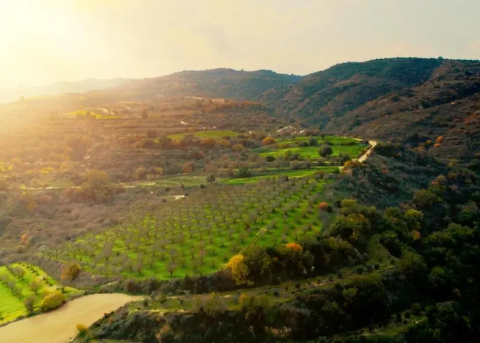 Hotell Secret Forest - Wellness Retreat & Healing (adults Only) 4*