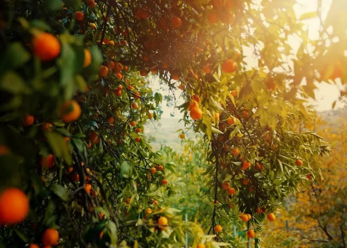 Secret Forest - Wellness Retreat & Healing (adults Only) Hotell 4*