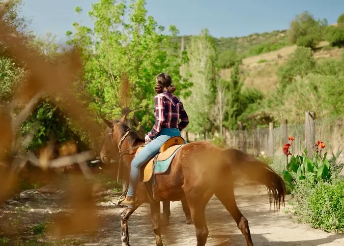 Secret Forest - Wellness Retreat & Healing (adults Only) 4*