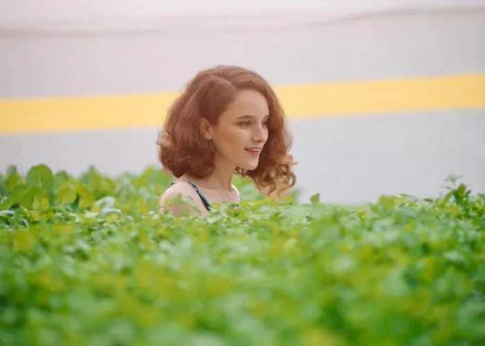 Secret Forest - Wellness Retreat & Healing (adults Only)