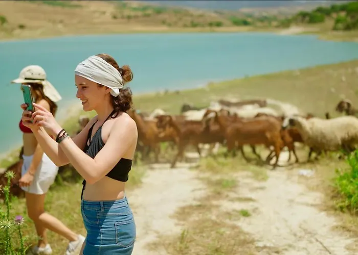 Hotell Secret Forest - Wellness Retreat & Healing (adults Only) 4*