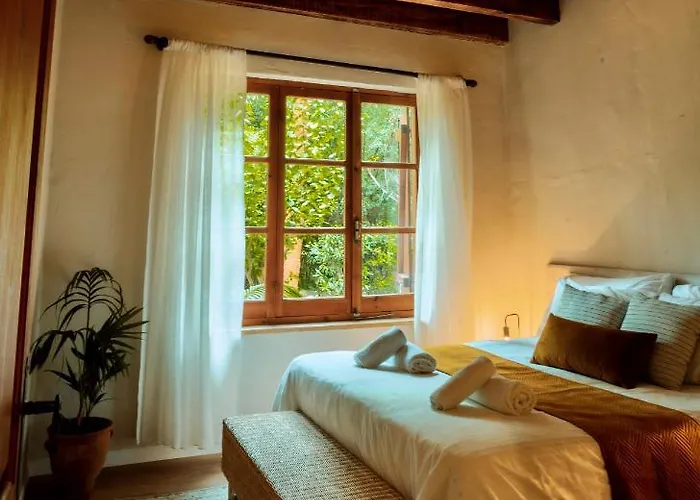 Secret Forest - Wellness Retreat & Healing (adults Only) Hotell Paphos